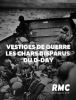 Vestiges de guerre : les chars disparus du D-Day