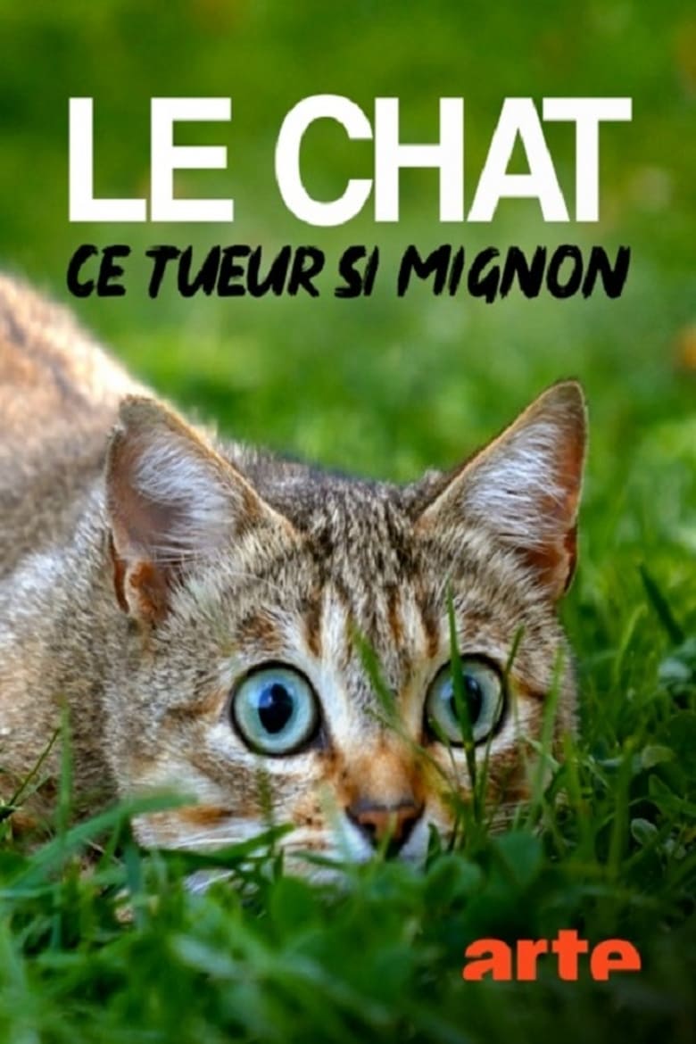 affiche du film Le Chat, ce Tueur si Mignon