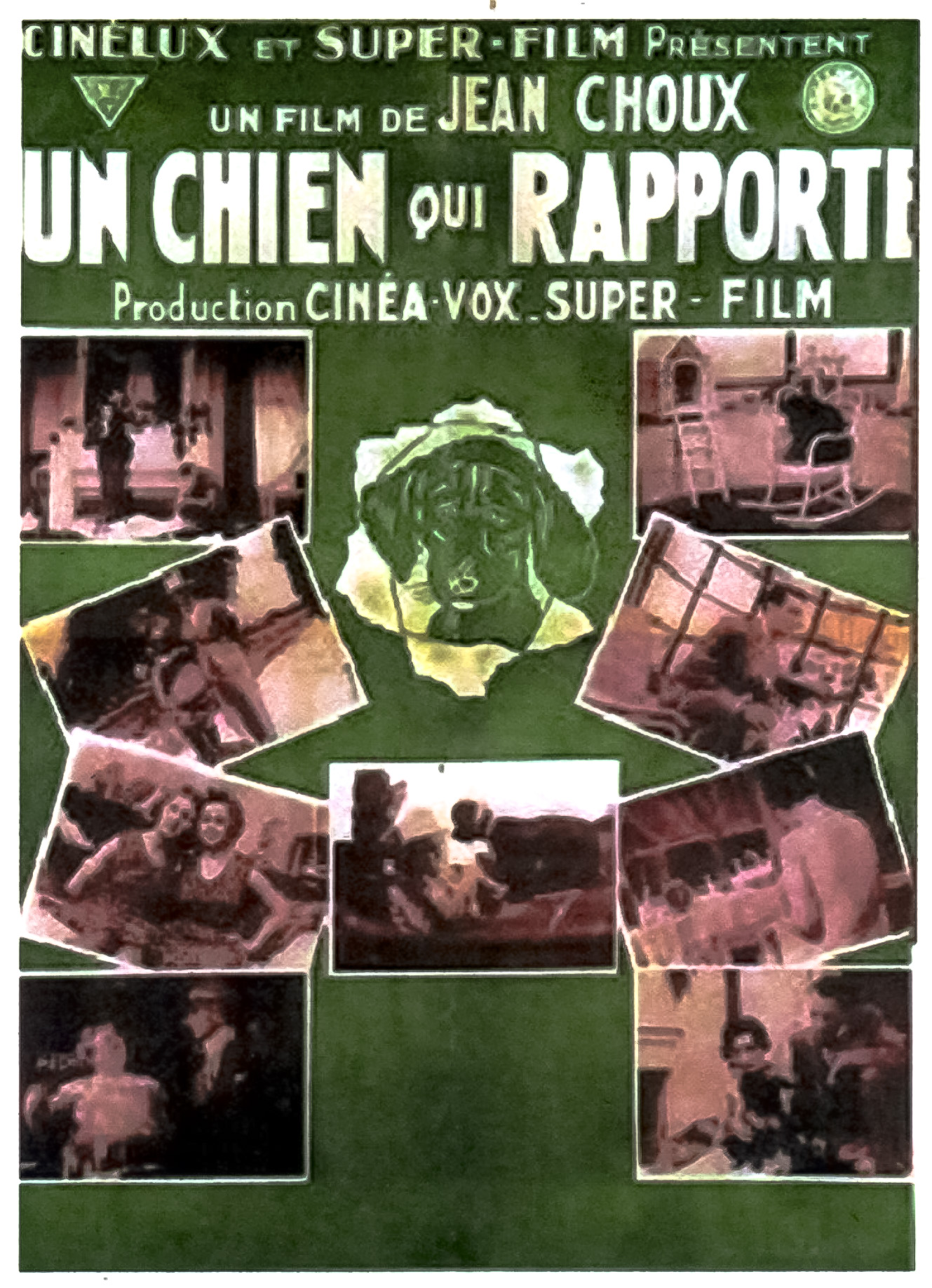 affiche du film Un chien qui rapporte