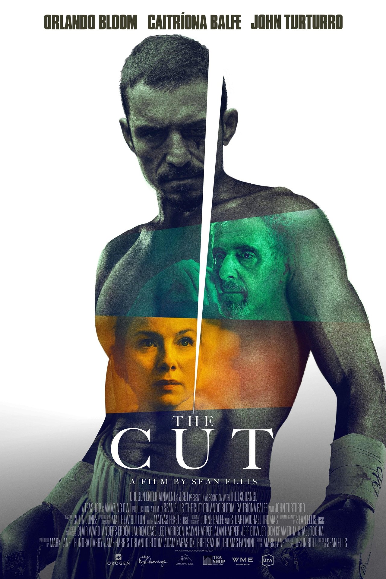 affiche du film The Cut