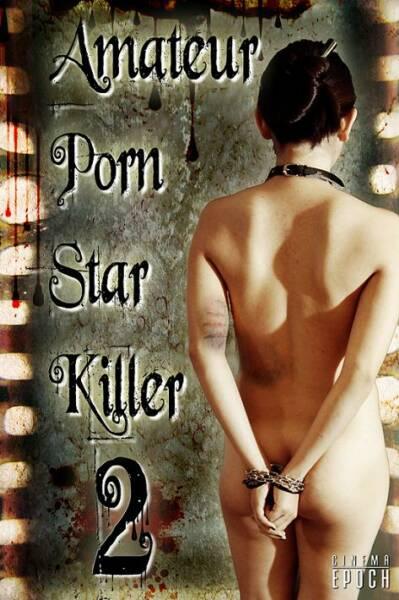 affiche du film Amateur Porn Star Killer 2