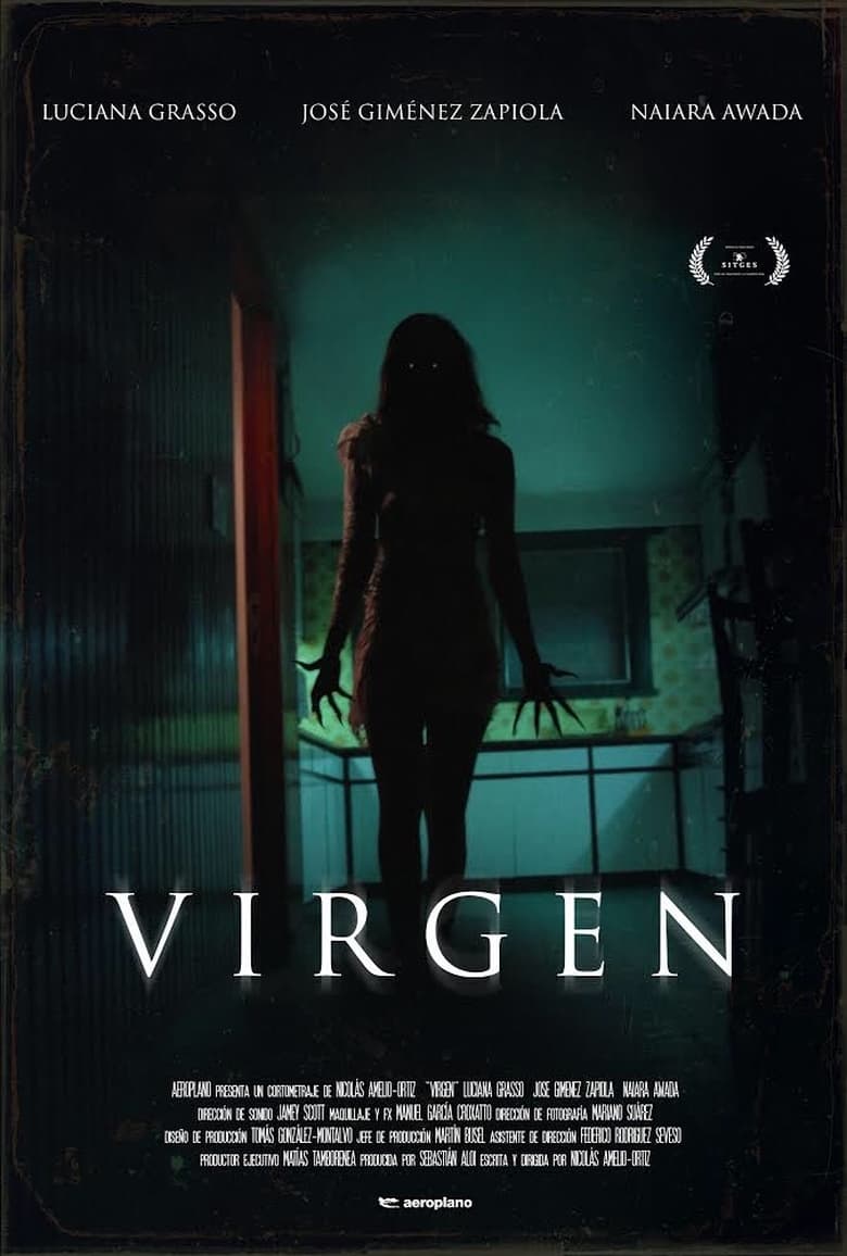 affiche du film Virgen