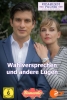 Wahlversprechen und andere Lügen
