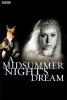 A Midsummer Night's Dream