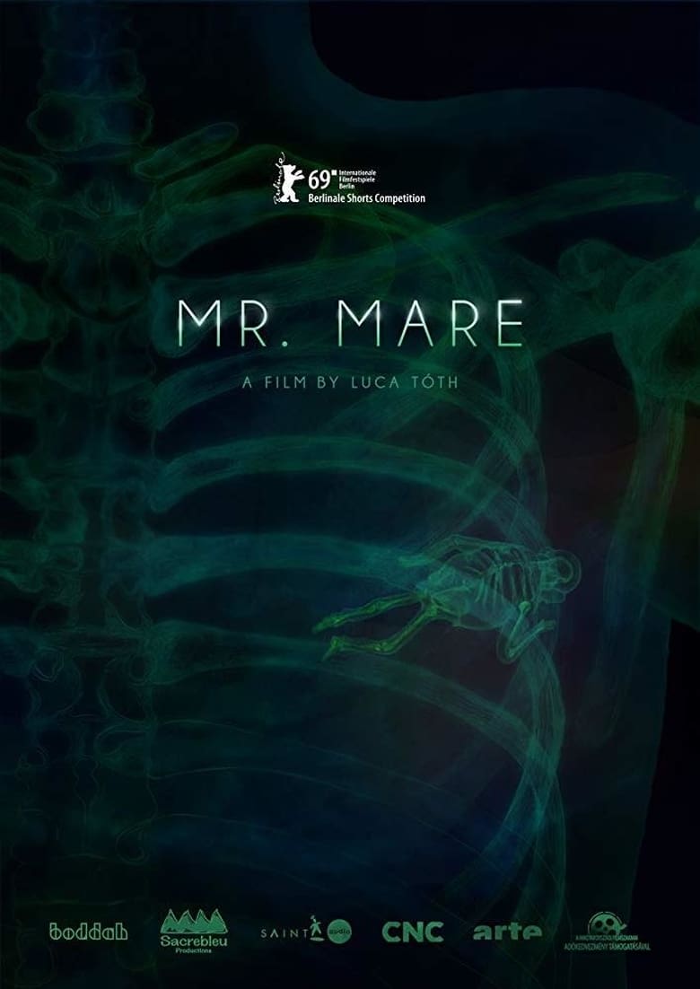 affiche du film Mr. Mare
