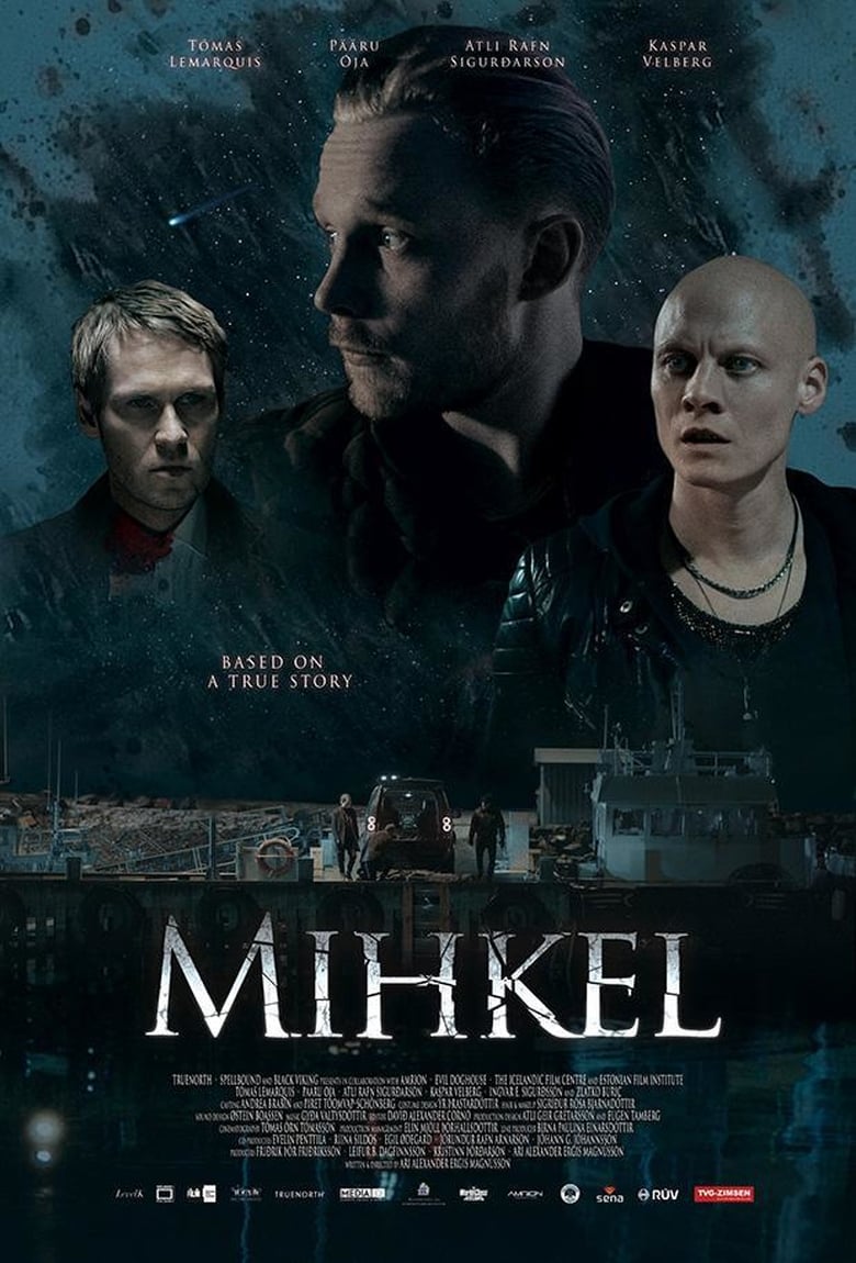 affiche du film Mihkel