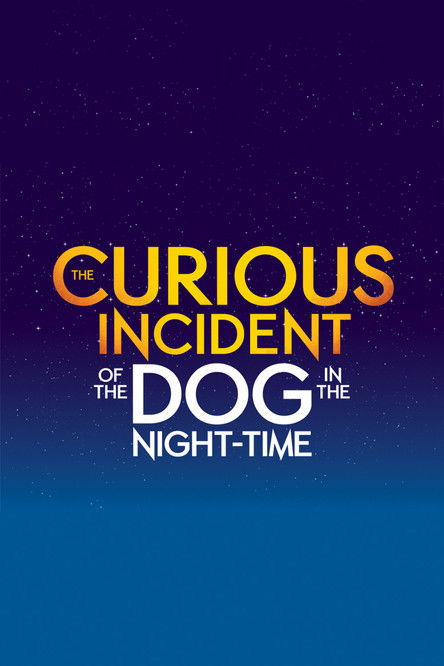 affiche du film The Curious Incident of the Dog in the Night-Time