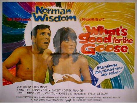 affiche du film What's Good for the Goose