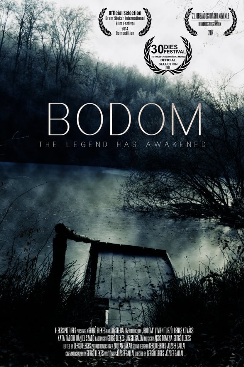 affiche du film Bodom