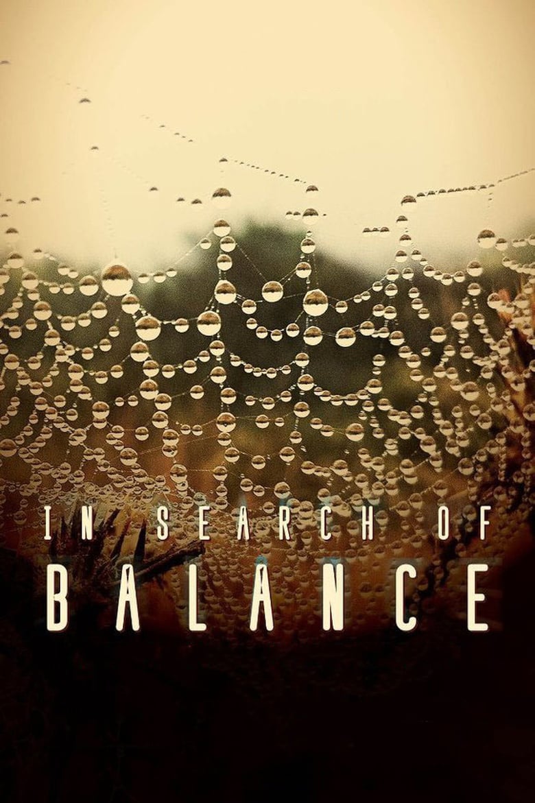 affiche du film In Search of Balance