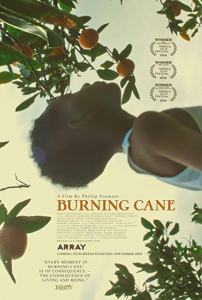 affiche du film Burning Cane