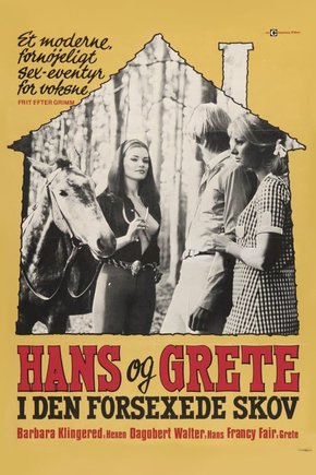 affiche du film The Erotic Adventures of Hansel and Gretel