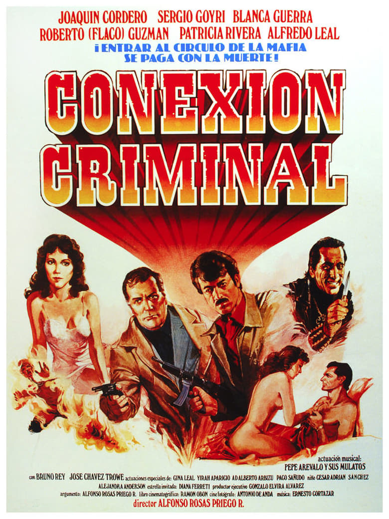 affiche du film Conexión criminal