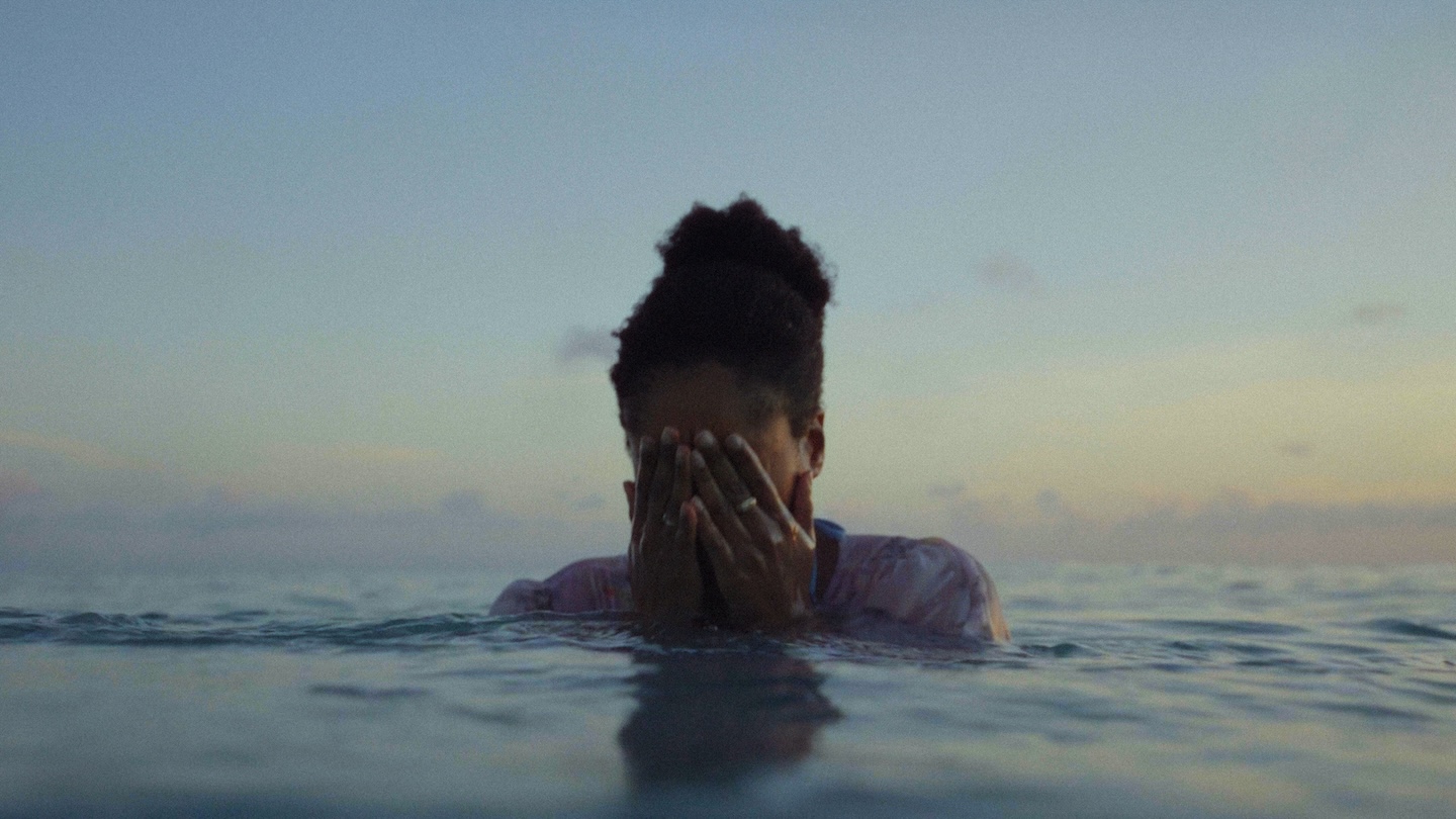 affiche du film Seahorse