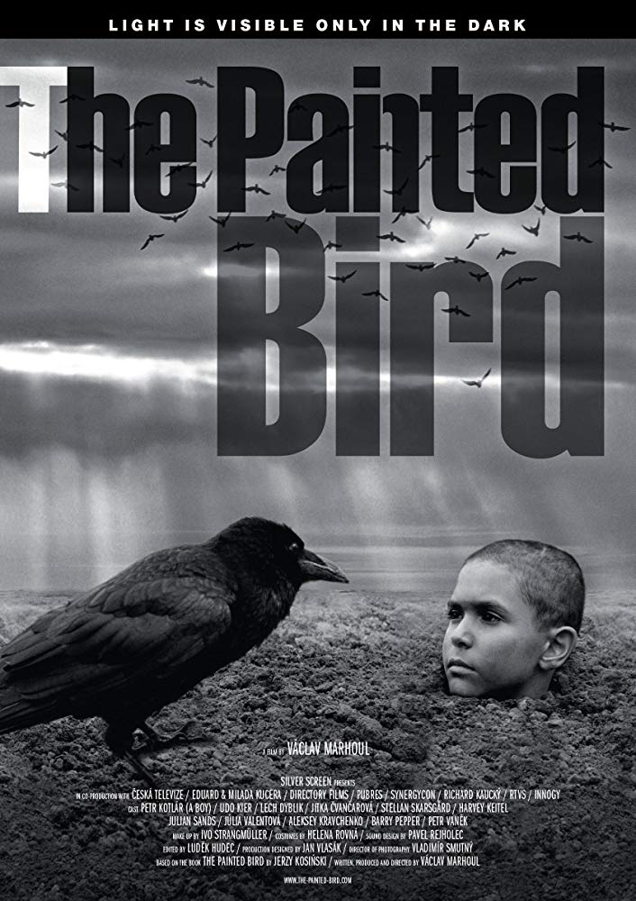 affiche du film The Painted Bird