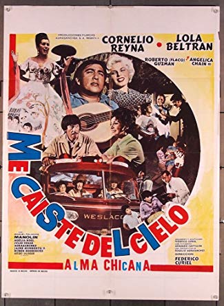 affiche du film Me caiste del cielo