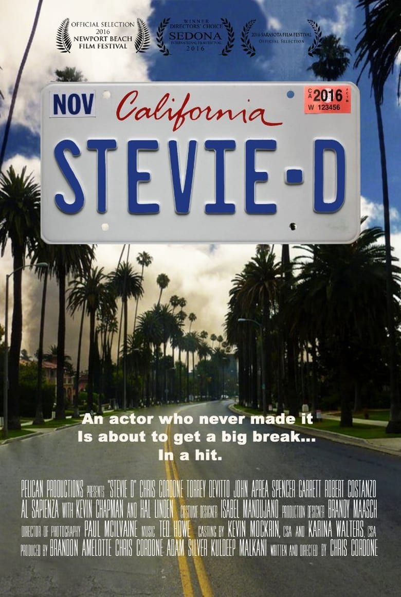 affiche du film Stevie D