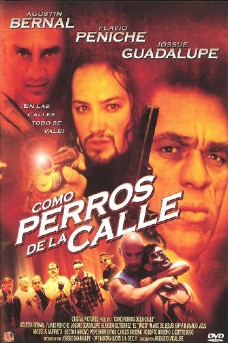 affiche du film Como Perros de la Calle