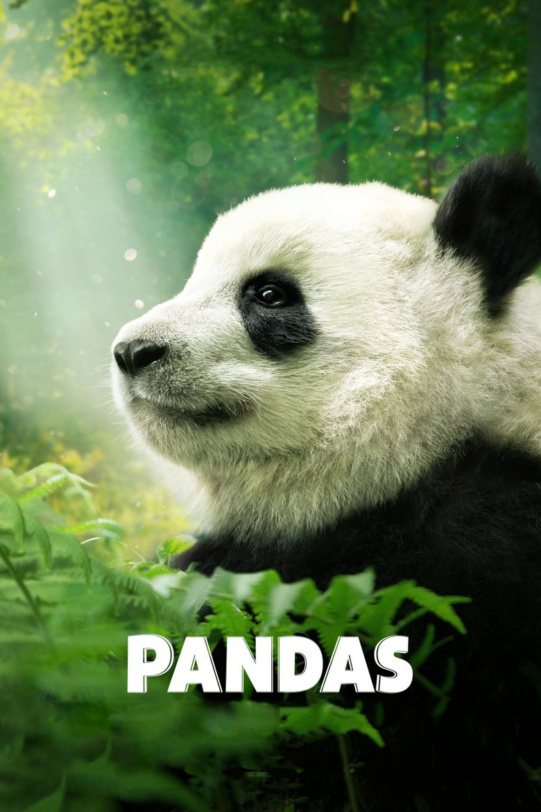 affiche du film Pandas