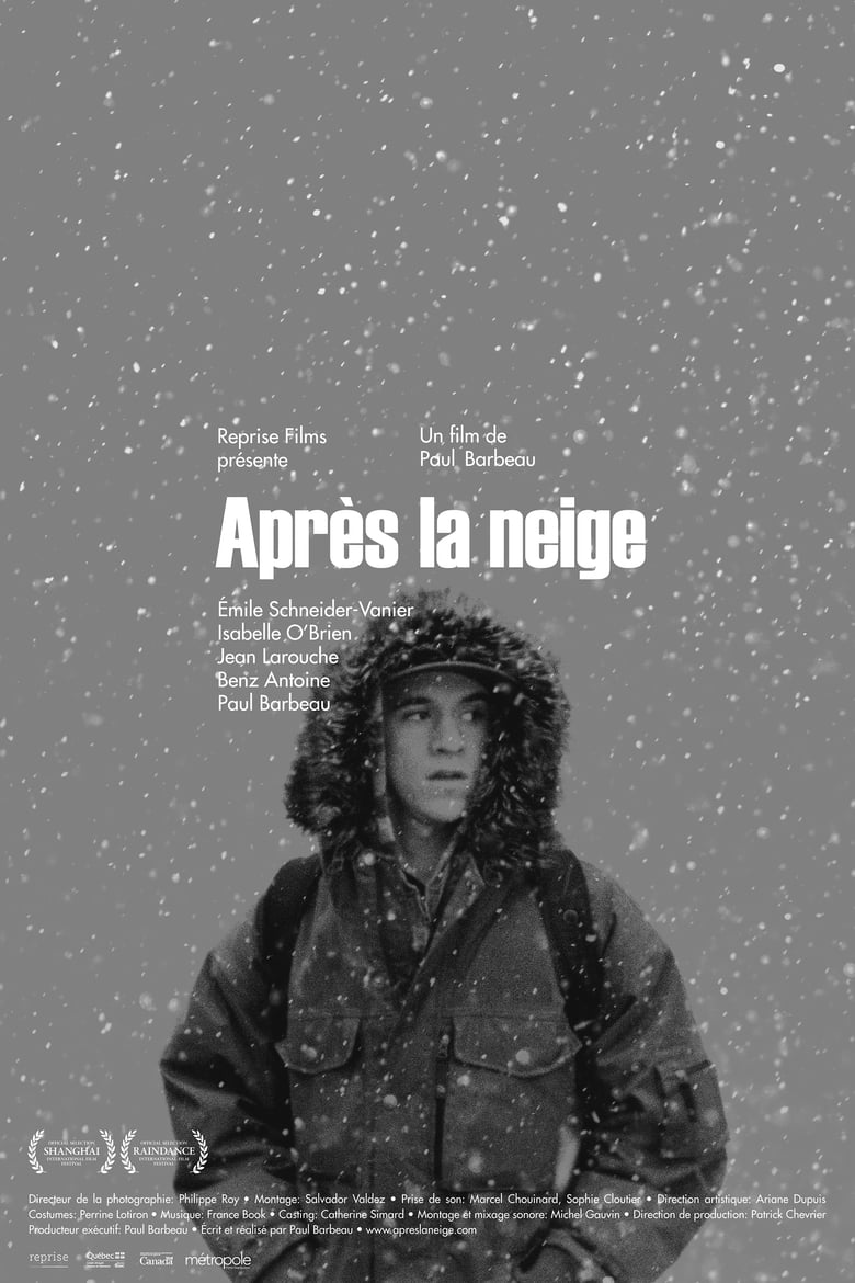 affiche du film Après la neige