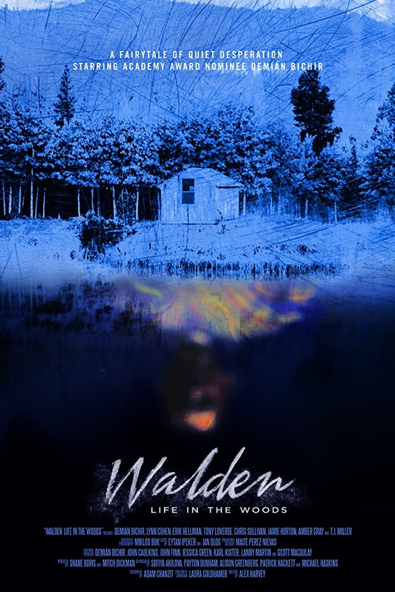 affiche du film Walden: Life in the Woods