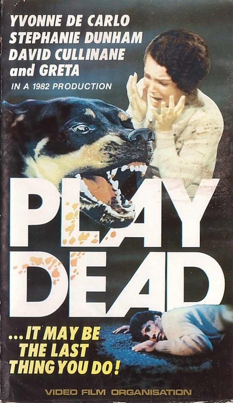 affiche du film Play Dead