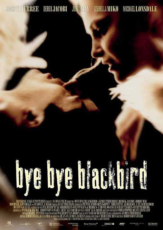 affiche du film Bye Bye Blackbird