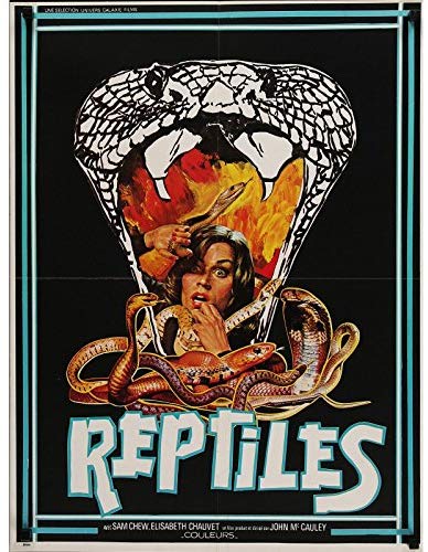 affiche du film Reptiles