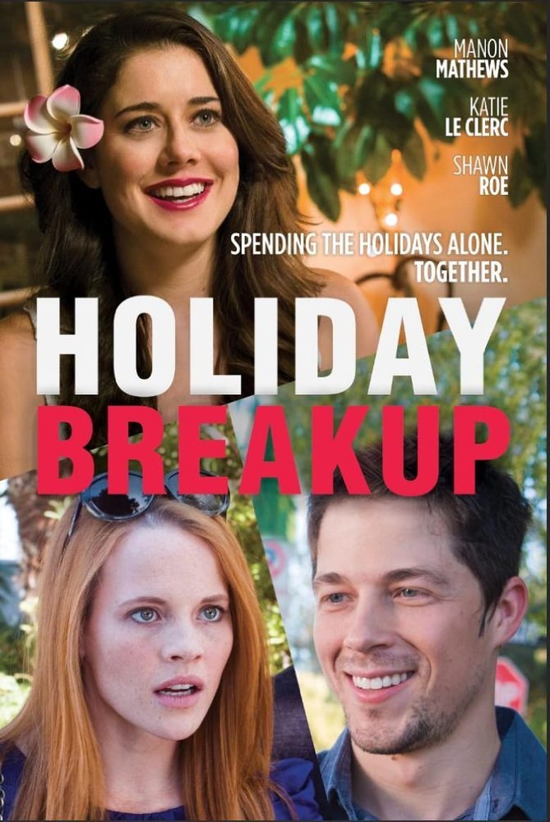 affiche du film Holiday Breakup