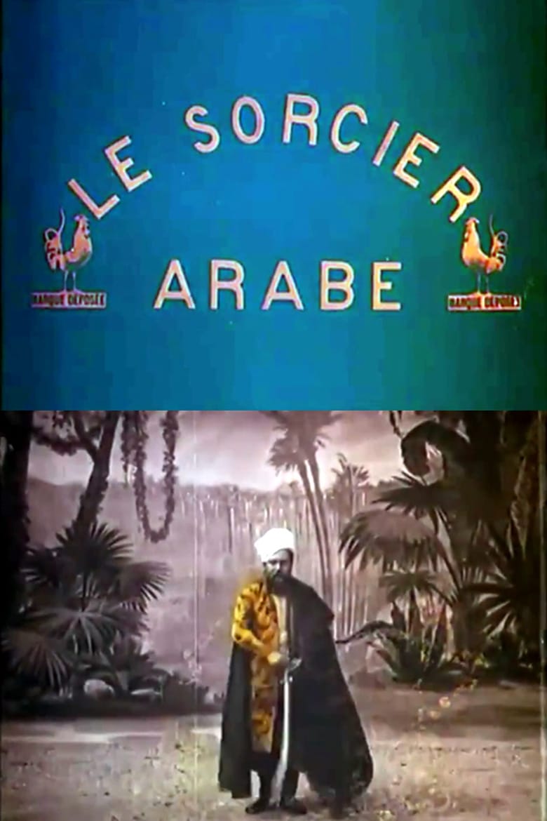 affiche du film Le sorcier arabe
