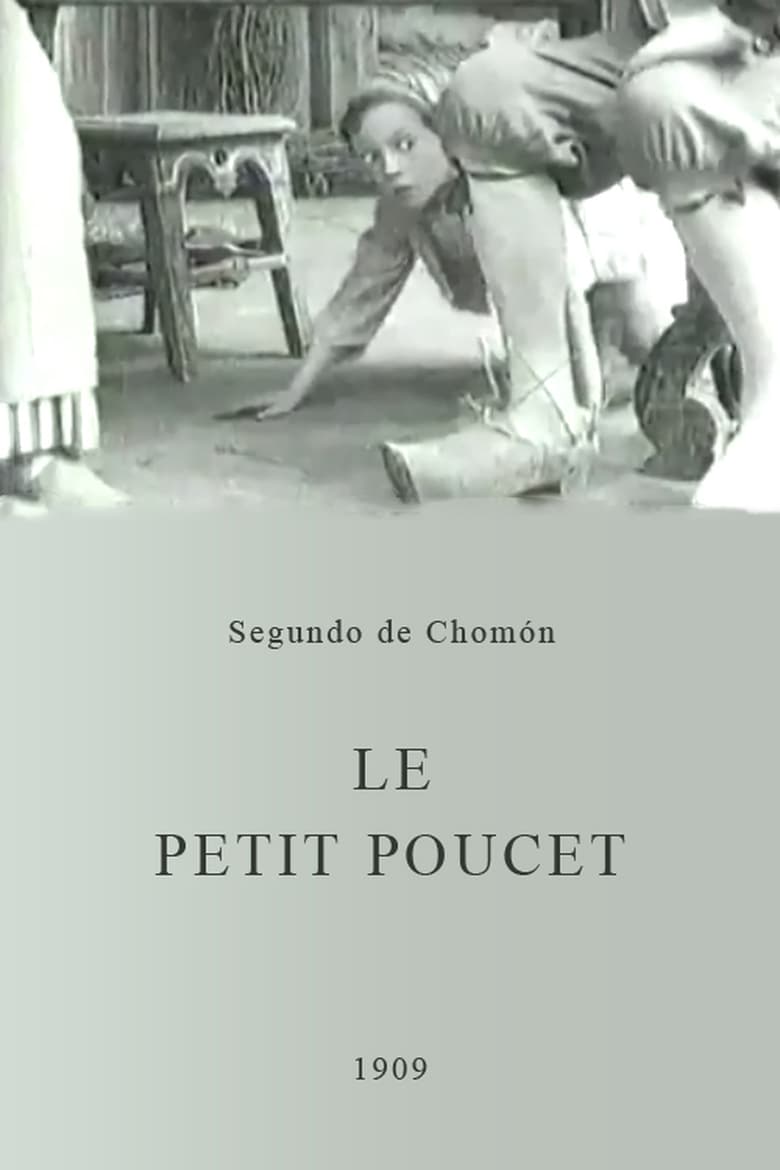 affiche du film Le petit poucet