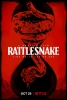 La morsure du crotale (Rattlesnake)