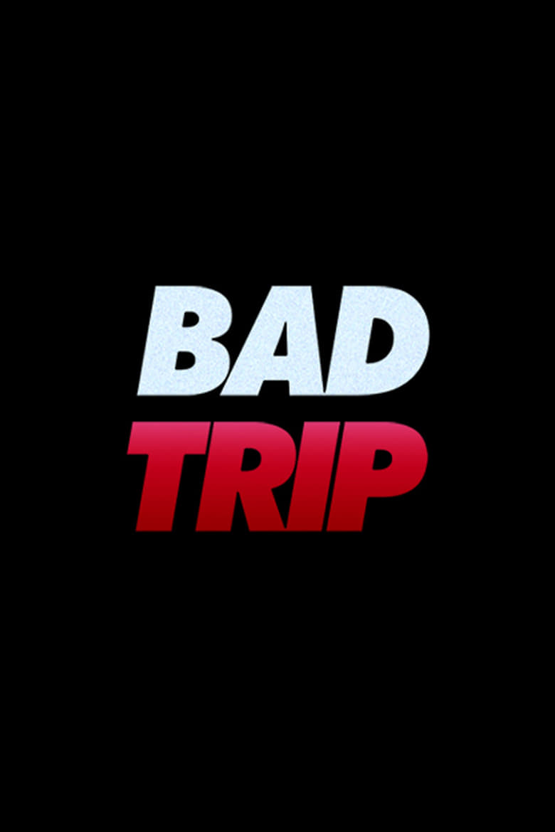 affiche du film Bad Trip