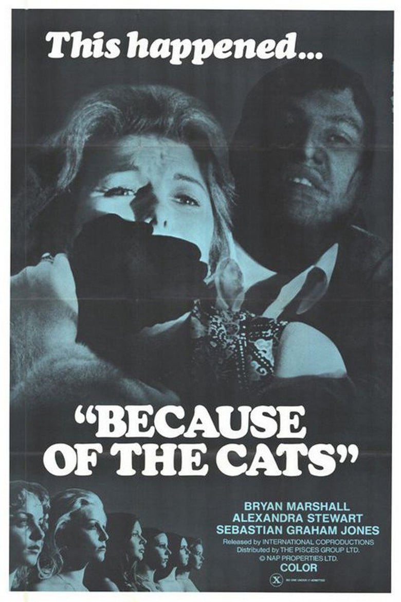 affiche du film Because of the Cats