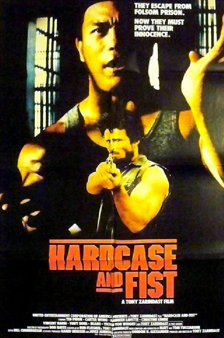 affiche du film Hardcase and Fist