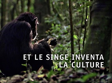 affiche du film Et le singe inventa la culture