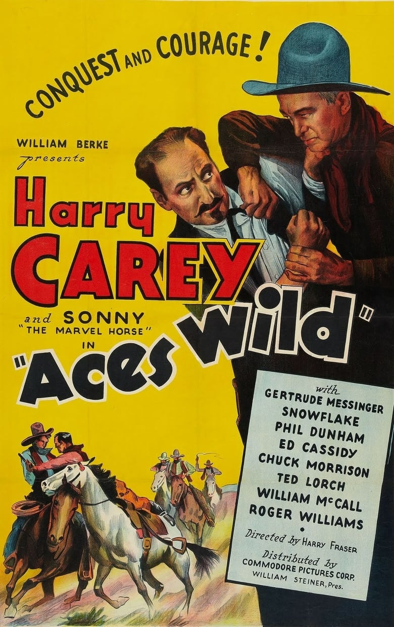 affiche du film Aces Wild