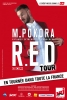 M.Pokora: R.E.D Tour