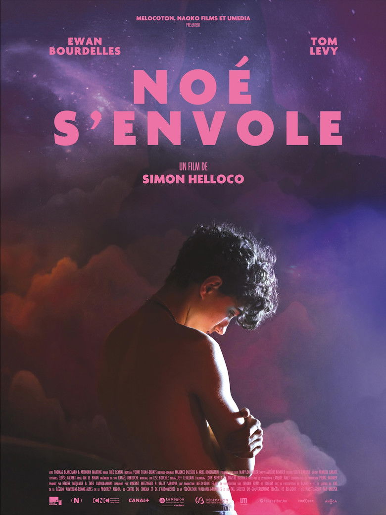 affiche du film Noé s'envole