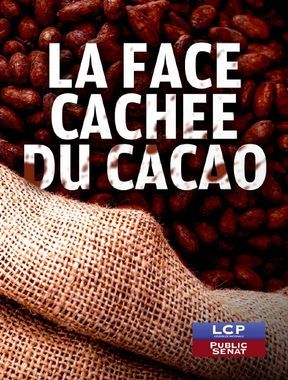 affiche du film La face cachée du cacao