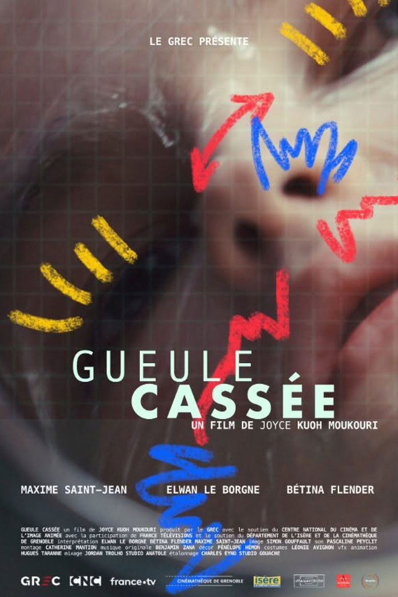 affiche du film Gueule cassée