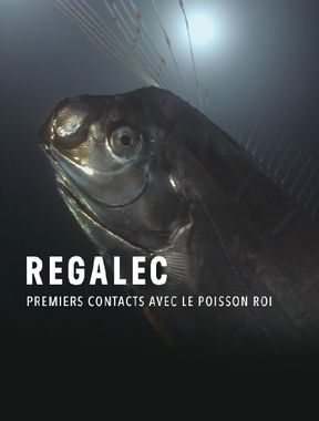 affiche du film Régalec, premiers contacts avec le poisson roi