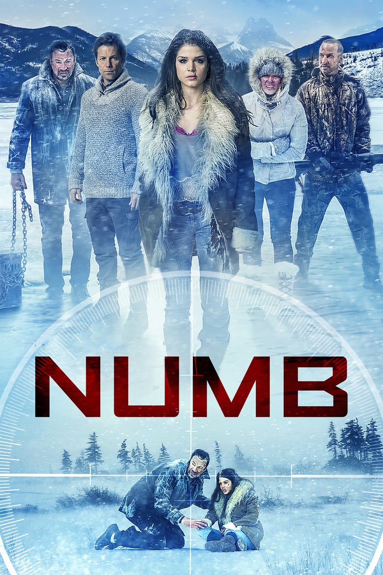 affiche du film Numb