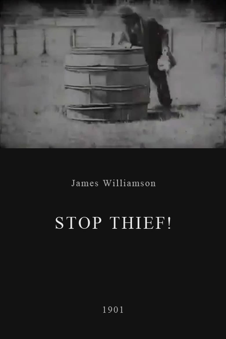 affiche du film Stop Thief!