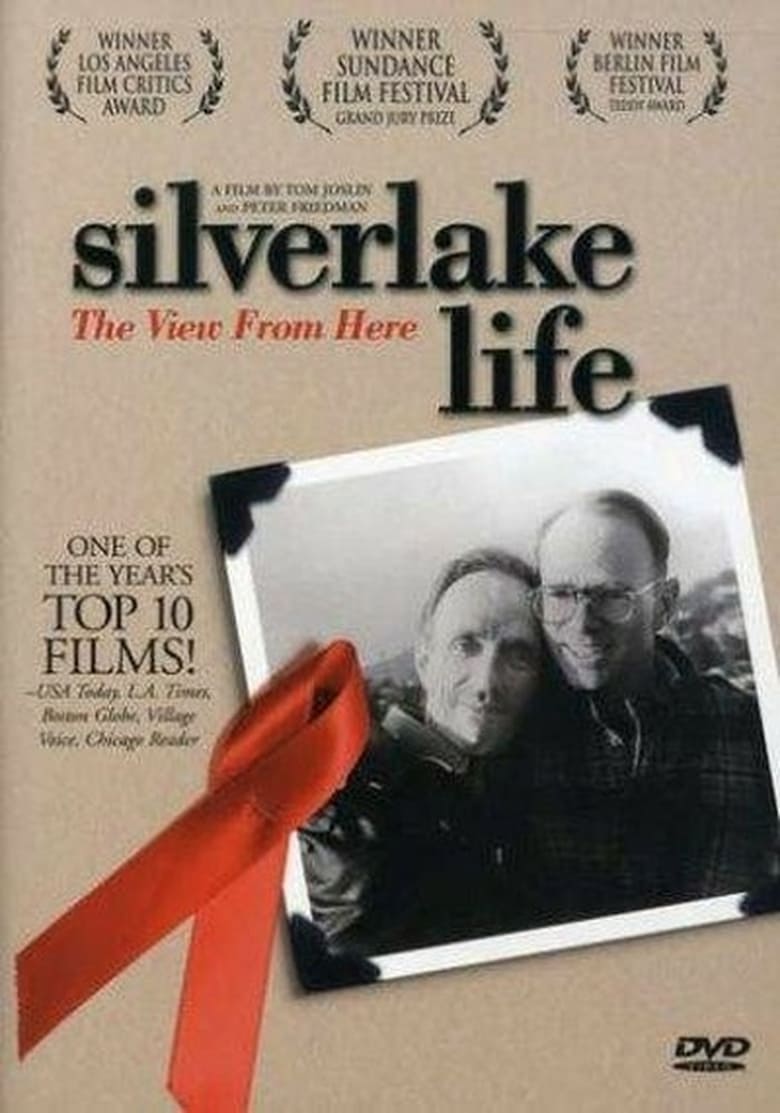 affiche du film Silverlake Life: The View from Here