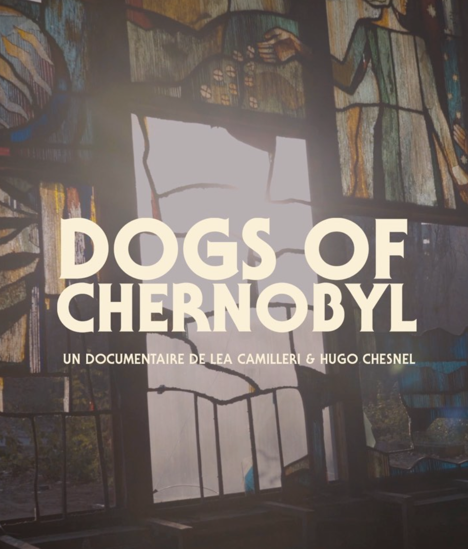 affiche du film Dogs of Chernobyl