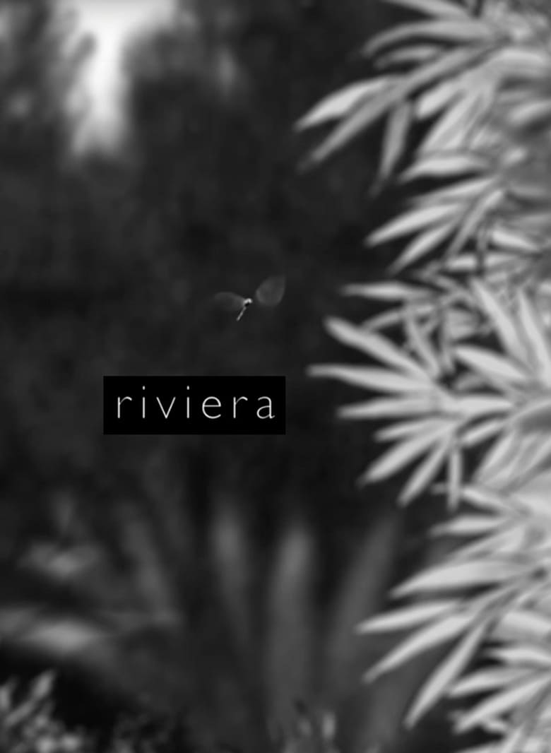 affiche du film Riviera