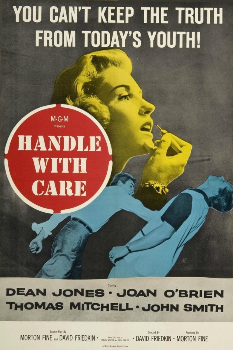 affiche du film Handle with Care