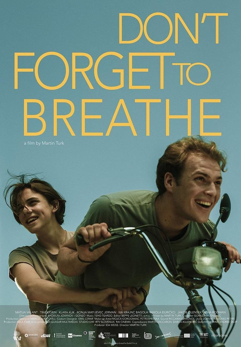 affiche du film Don't Forget to Breathe
