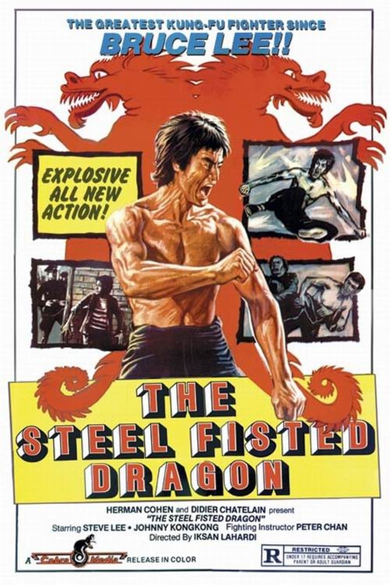 affiche du film The Steel Fisted Dragon
